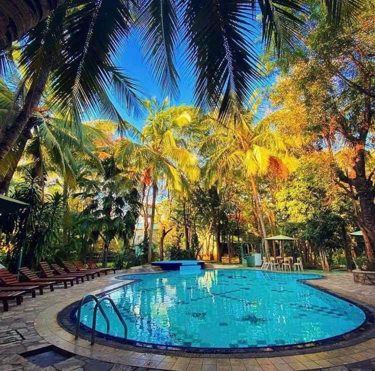 Hotel Eden Garden Sigiriya Eksteriør billede