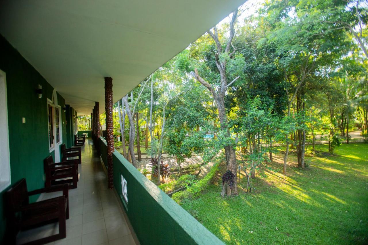 Hotel Eden Garden Sigiriya Eksteriør billede